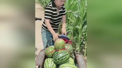 景区吃瓜女生叫什么,揭秘网红背后的故事