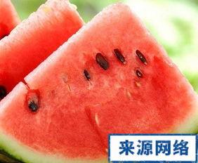 吃瓜有点胖,揭秘美食与身材的微妙平衡