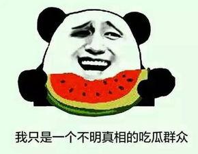 想把瓜吃全,揭秘如何将瓜吃全的绝妙技巧