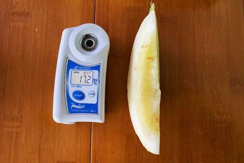 吃瓜仪,科技新宠，轻松掌握娱乐圈动态