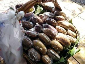 贵阳的校园吃瓜,一网打尽校园“吃瓜”攻略