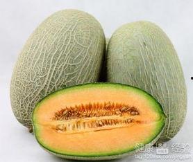 肝结石可以吃哈密瓜吗,肝结石患者适宜食用哈密瓜的探讨