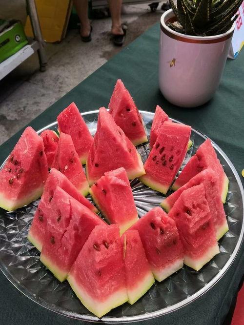 吃瓜比赛东海,东海赛区激情上演，瓜王争霸一触即发！