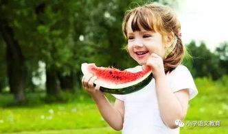 穿书嘎嘎吃瓜,一场穿越与美食的奇幻之旅