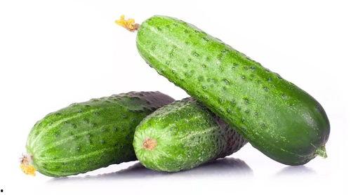 黄瓜特效吃瓜,夏日清凉新体验