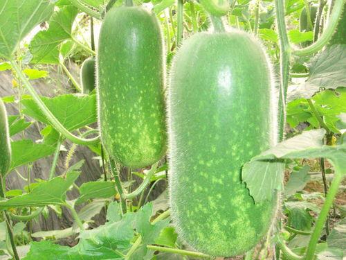 深空吃瓜,揭秘宇宙中的神秘“吃瓜”现象