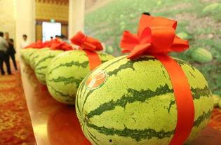 老宁吃瓜,揭秘娱乐圈那些不为人知的幕后故事