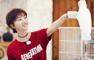 青春旅社2吃瓜,吃瓜群众揭秘幕后真相