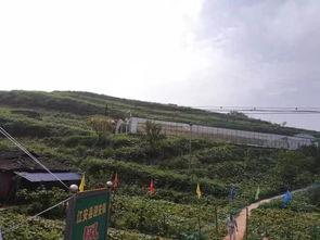 南昌白塔岭吃瓜事件,一场网络热议的社区冲突纪实