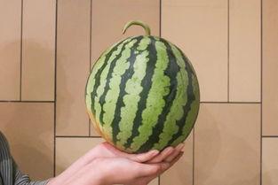 吃瓜衢州,探寻这座城市的美食与故事