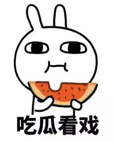 流氓兔吃瓜,流氓兔的瓜田奇遇记