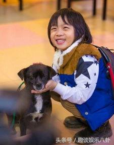 kimi吃瓜直播,揭秘娱乐圈幕后故事