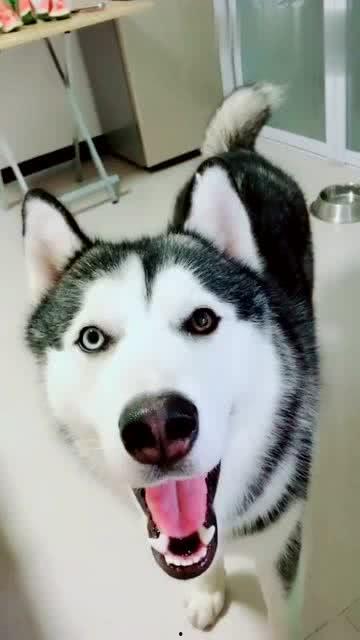 吃瓜麻麻,揭秘娱乐圈幕后故事