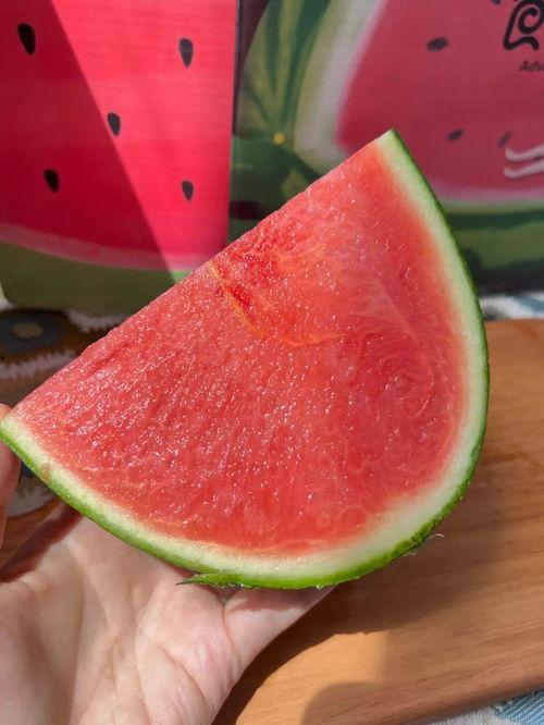 吃哈瓜中心,美食之旅的全新起点