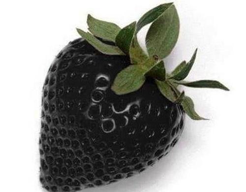 黑色玫瑰13吃瓜,揭秘娱乐圈的神秘瓜田