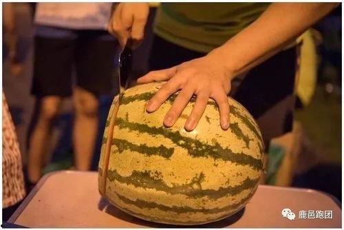 趣说吃瓜,揭秘娱乐圈的甜蜜与苦涩